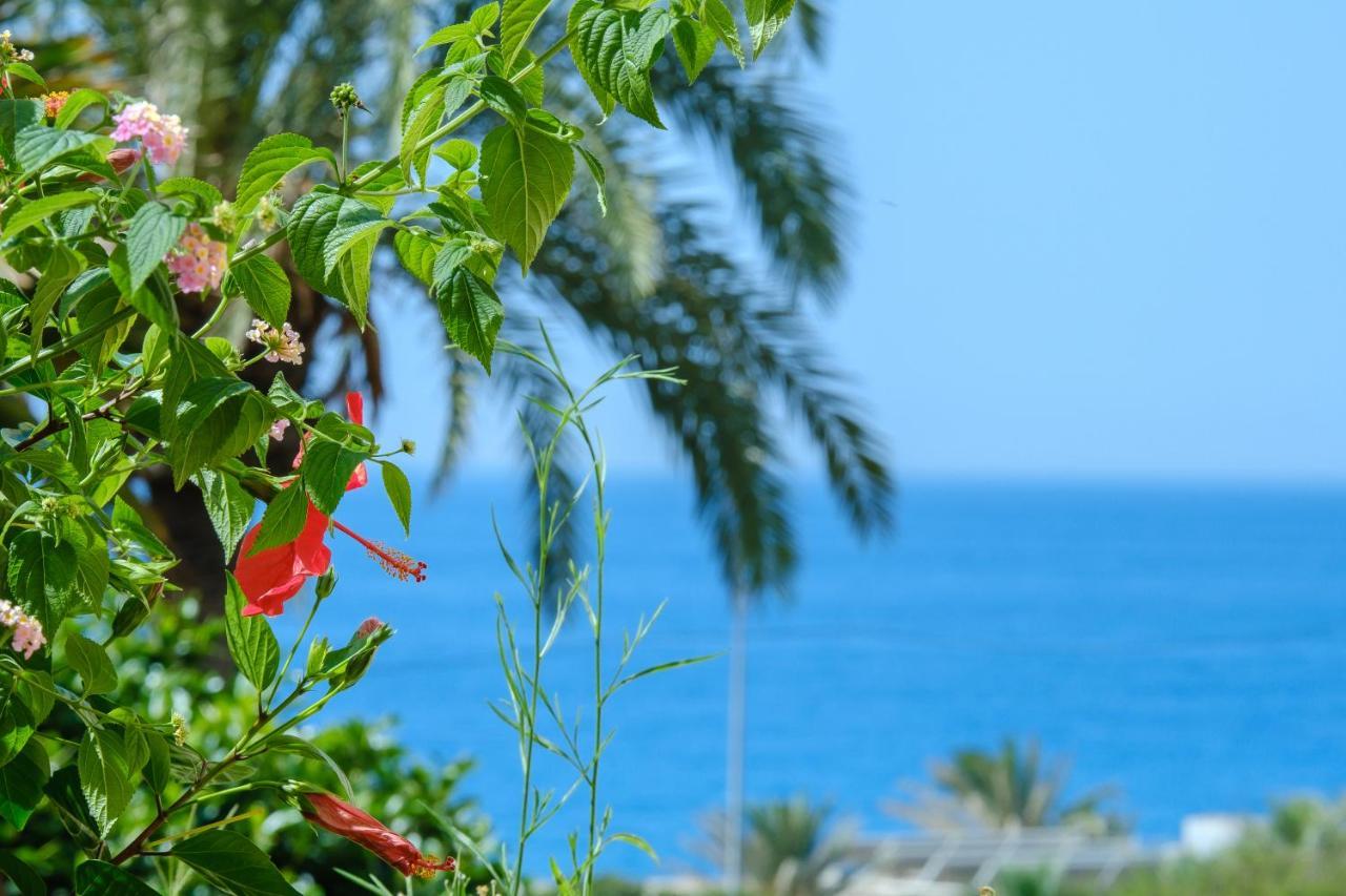 Beautiful Torreoceano 92, Pool, Beach Access 라칼라데미야스 외부 사진